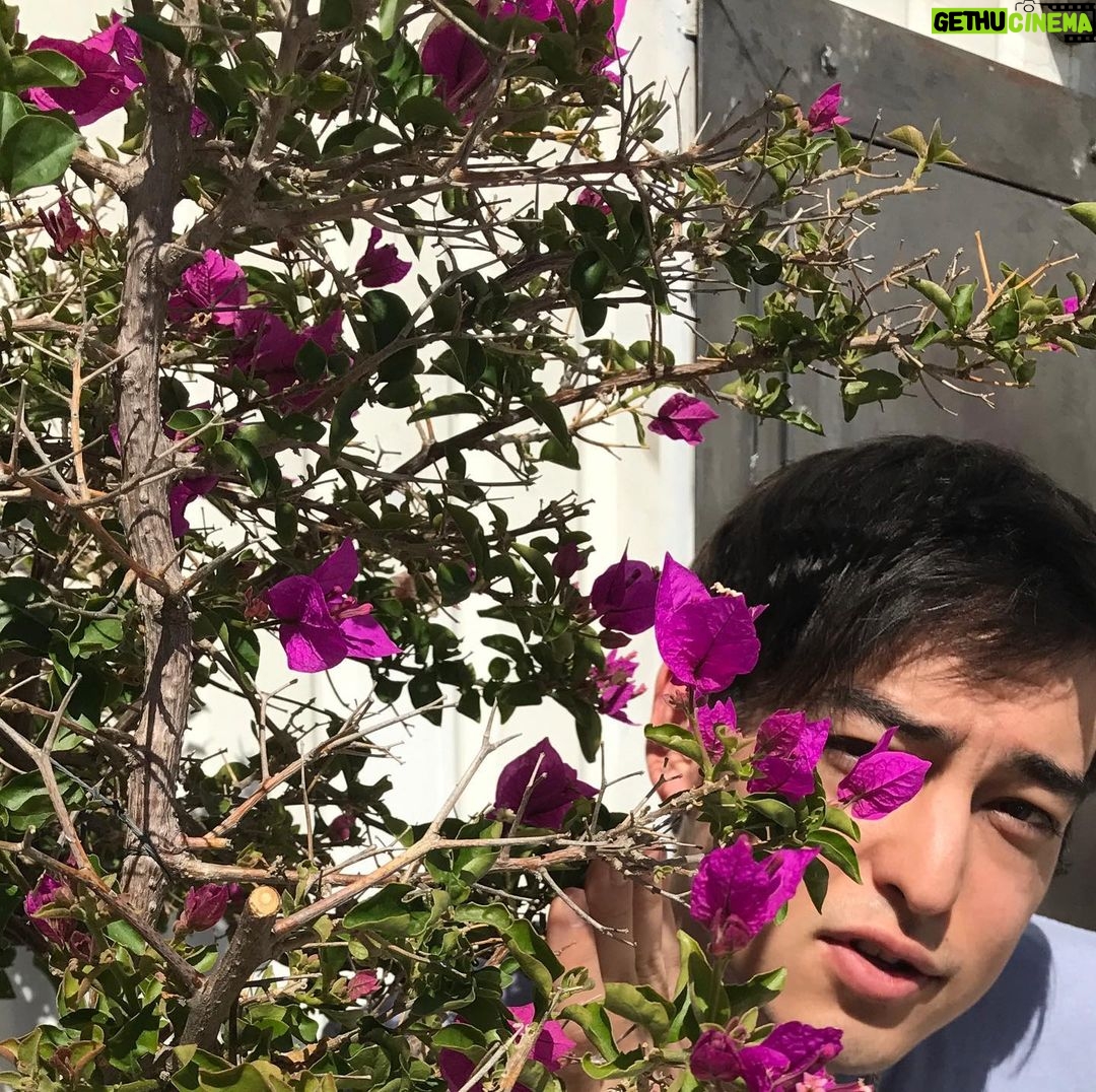 Joji - 0.9 Million Likes -