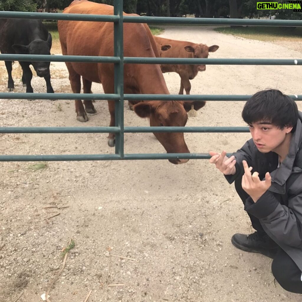 Joji Instagram - Out with my nature friends gettin blasted on that medical hay.