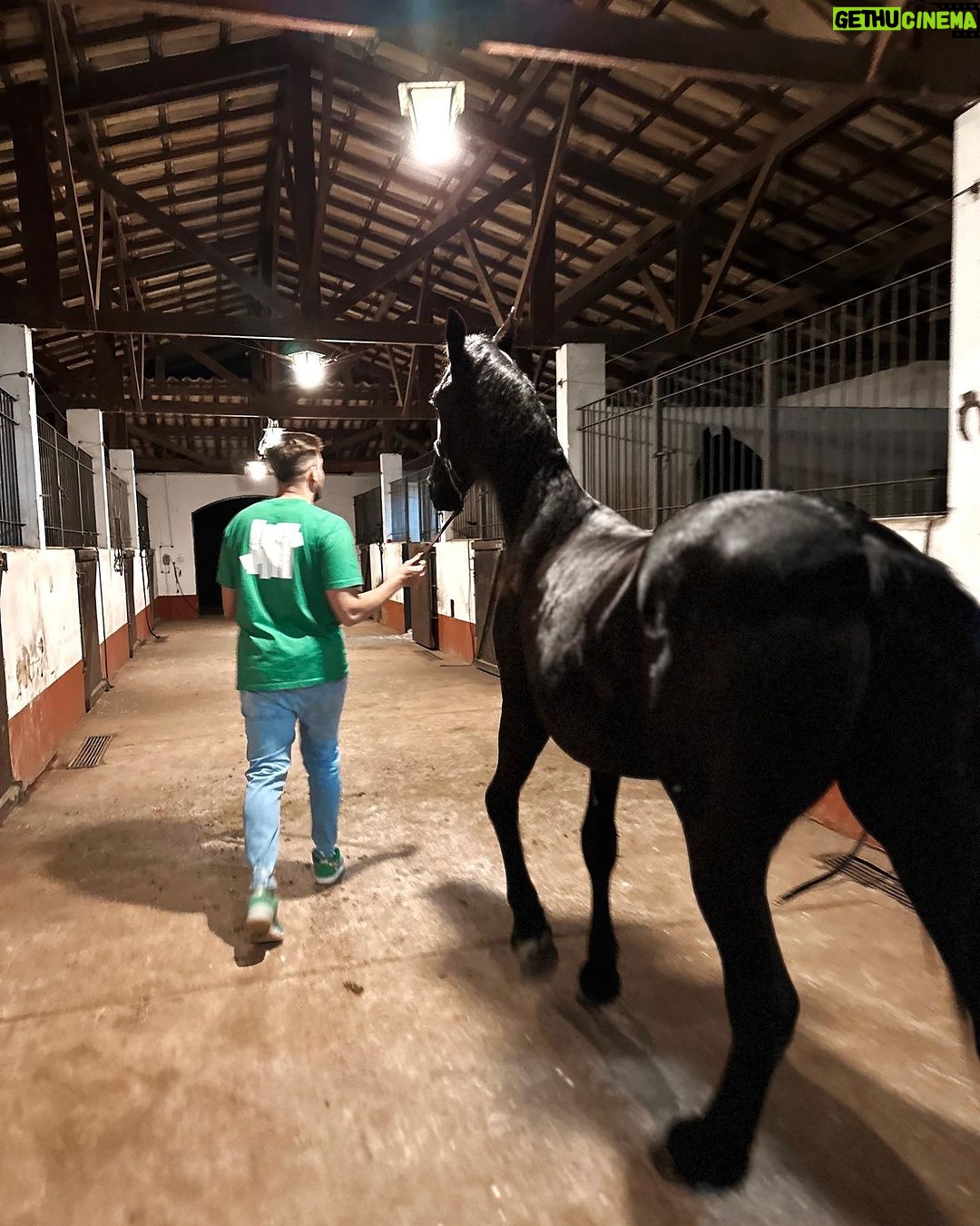 Jon Vlogs - 515.2K Likes - Comprei um cavalinho pra fazenda da minha mãe, bom demais ter um lugarzinho de paz desse e melhor ainda poder ir realizando os sonhos de quem a gente ama também 🫶🏻
-última foto o tamanho de como vai ficar 😂