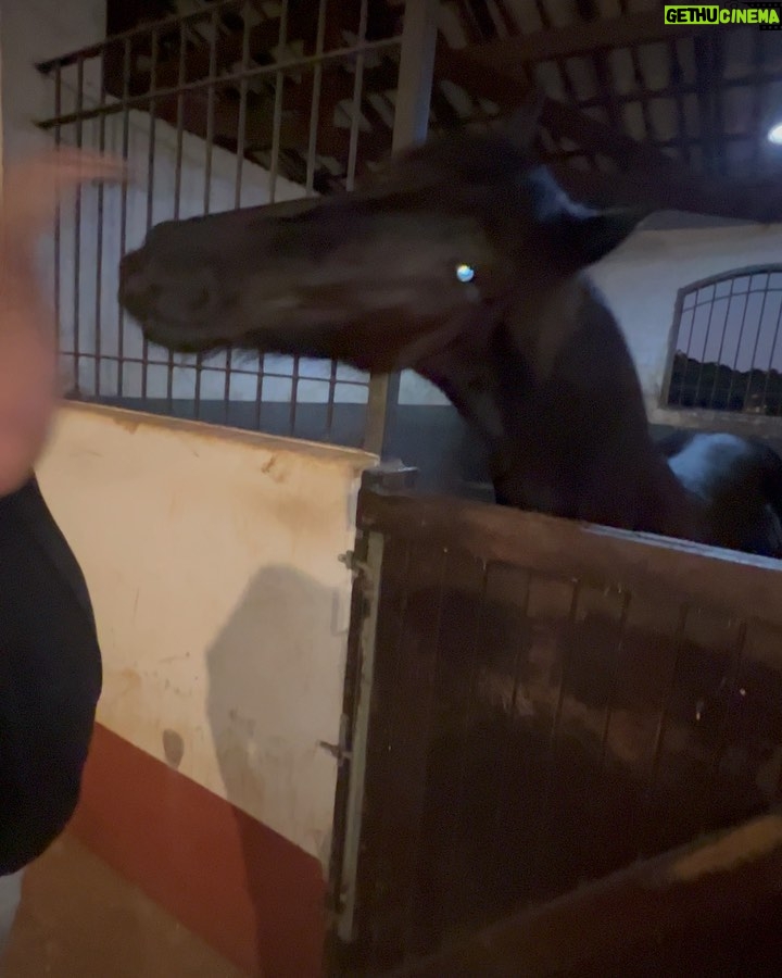 Jon Vlogs - 515.2K Likes - Comprei um cavalinho pra fazenda da minha mãe, bom demais ter um lugarzinho de paz desse e melhor ainda poder ir realizando os sonhos de quem a gente ama também 🫶🏻
-última foto o tamanho de como vai ficar 😂