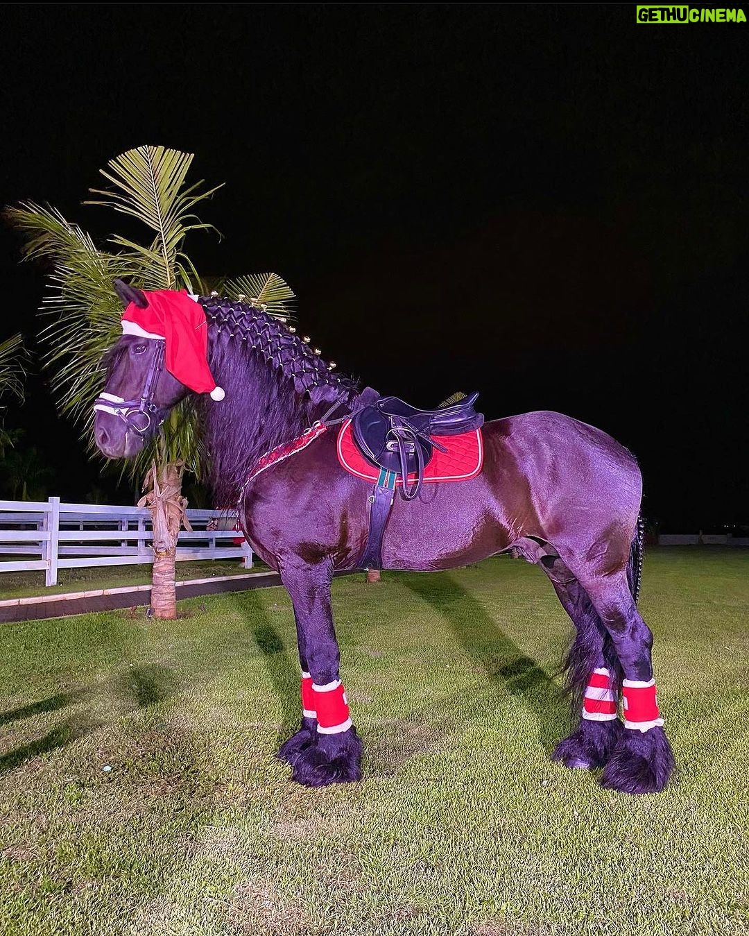 Jon Vlogs - 515.2K Likes - Comprei um cavalinho pra fazenda da minha mãe, bom demais ter um lugarzinho de paz desse e melhor ainda poder ir realizando os sonhos de quem a gente ama também 🫶🏻
-última foto o tamanho de como vai ficar 😂