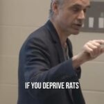 Jordan B. Peterson Instagram - The truth about young boys and ADHD.