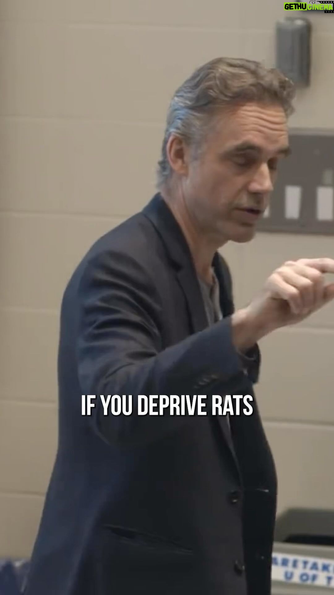 Jordan B. Peterson Instagram - The truth about young boys and ADHD.