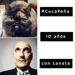 Jorge Ernesto Lanata Instagram - Conocé los detalles de la historia de esta superviviente felina en los 3 últimos videos publicados. #CucaPeña #Lanata #fernandopeña #putolindonotdead #jorgelanata