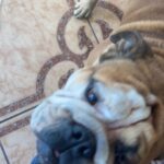 Jorge González Instagram -