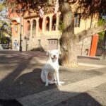 Jorge González Instagram -