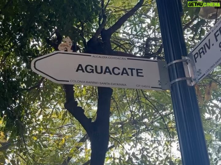 Jorge L贸pez Instagram - 72 horas de amor 馃嚥馃嚱 Mexico City, Mexico