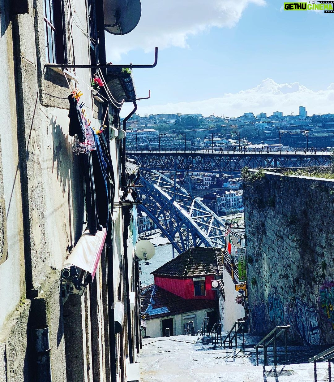 José Pedro Vasconcelos - 529 Likes - Porto com sentido