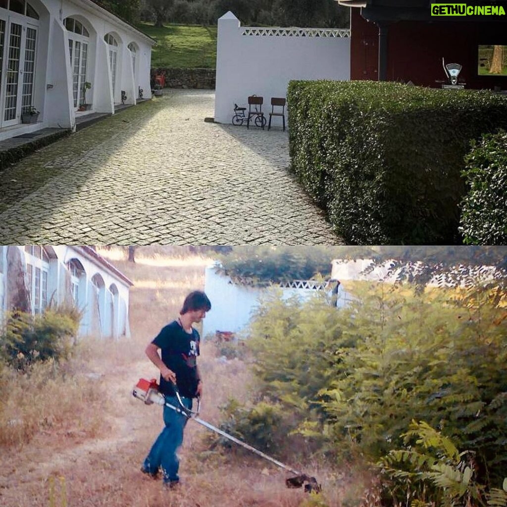 José Pedro Vasconcelos Instagram - 2008/2022 há 14 anos a roçar mato @imanicountryhouse imani - country house