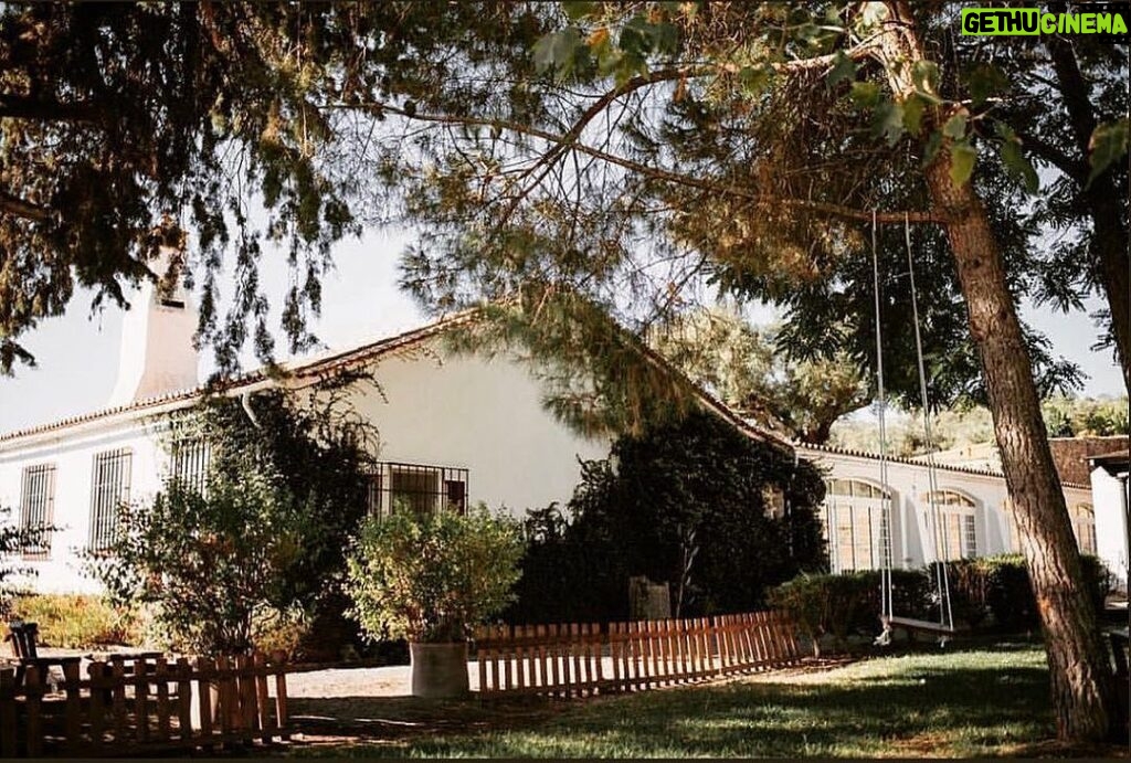 José Pedro Vasconcelos Instagram - Round 2 imani - country house