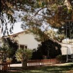 José Pedro Vasconcelos Instagram - Round 2 imani - country house