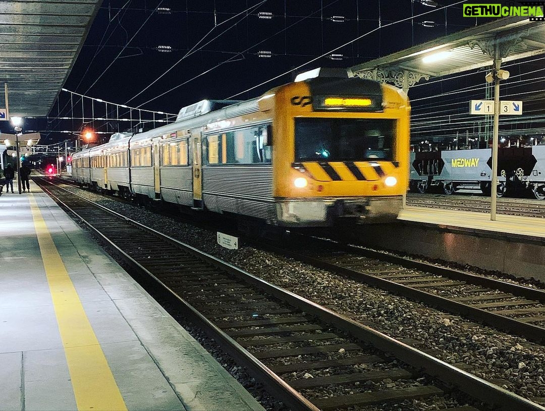 José Pedro Vasconcelos Instagram - Poupem, poupem-se, poupem-nos! Andem sobre carris é ovo de Colombo @cp_comboiosdeportugal