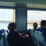 José Pedro Vasconcelos Instagram - Poupem, poupem-se, poupem-nos! Andem sobre carris é ovo de Colombo @cp_comboiosdeportugal