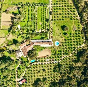 José Pedro Vasconcelos Instagram - @imanicountryhouse jardinando