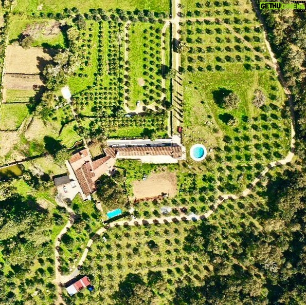 José Pedro Vasconcelos Instagram - @imanicountryhouse jardinando imani - country house