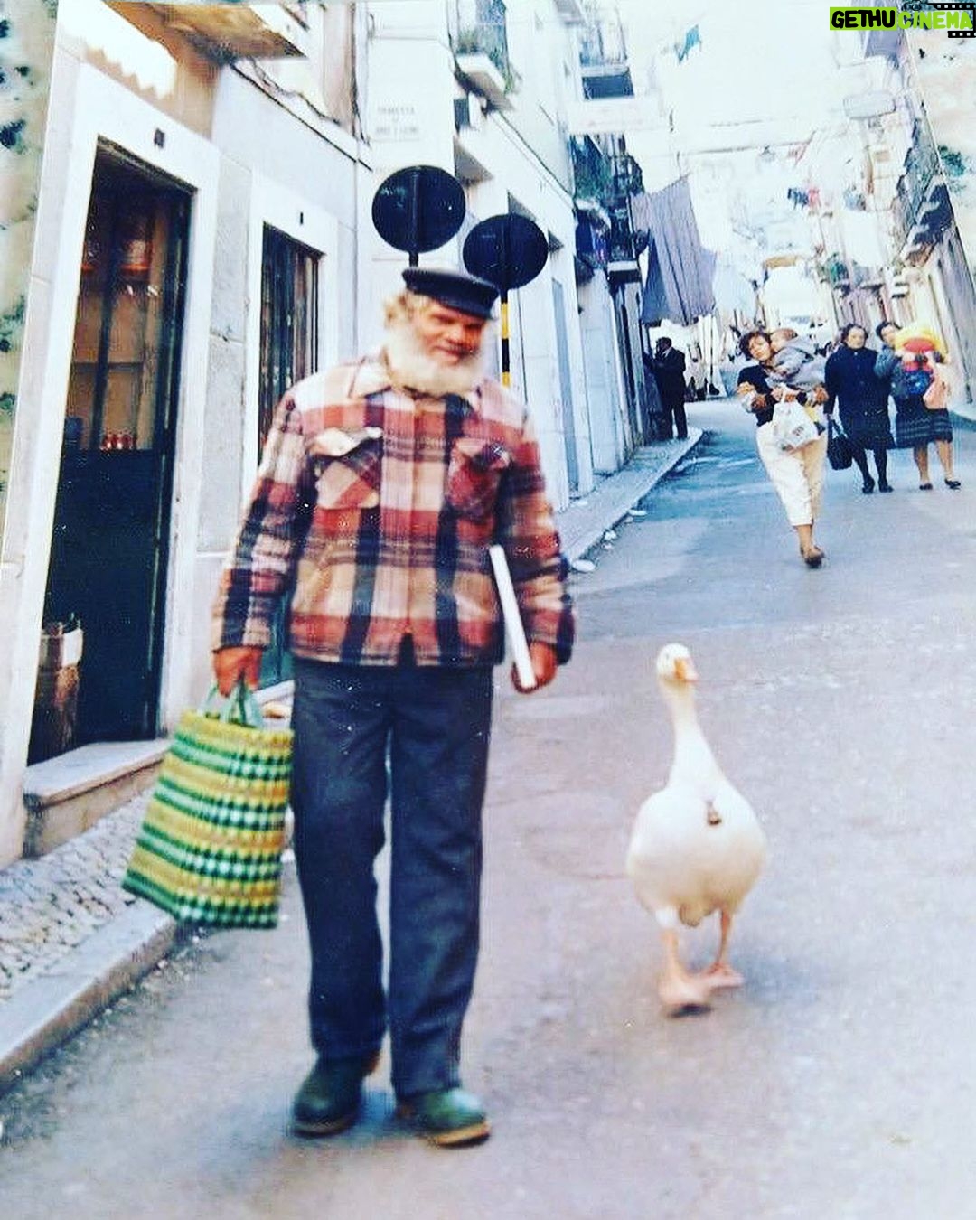 José Pedro Vasconcelos - 0.9K Likes - O “Salmonete” e o seu ganso o “Benfica”, foi Rei no Portinho da Arrábida, diz quem sabe que esta foi das poucas vezes que calçou uns sapatos. Saudades de pessoas que fazem os sítios, locais onde desejamos voltar. Hoje por causa desta fotografia que me enviou um amigo lembrei-me do “Caranguejo”, o Capitão Haddock da minha vida e um dos Príncipes da Zambujeira. Vivam os sábios que por ignorância serão sempre olhados de soslaio e ainda assim seguem em frente, rumo ao sol