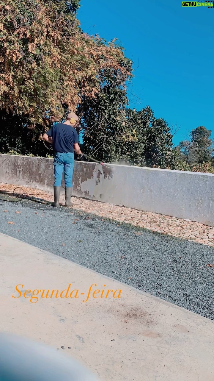 José Pedro Vasconcelos Instagram - imani - country house