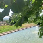José Pedro Vasconcelos Instagram - O som daqui @imanicountryhouse imani - country house