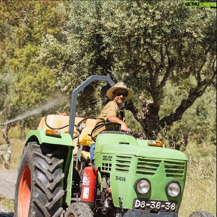 José Pedro Vasconcelos Instagram - Domingos assim, para desentorpecer. Espreitem a página deste cadinho de terra @imanicountryhouse Beijos do sul imani - country house