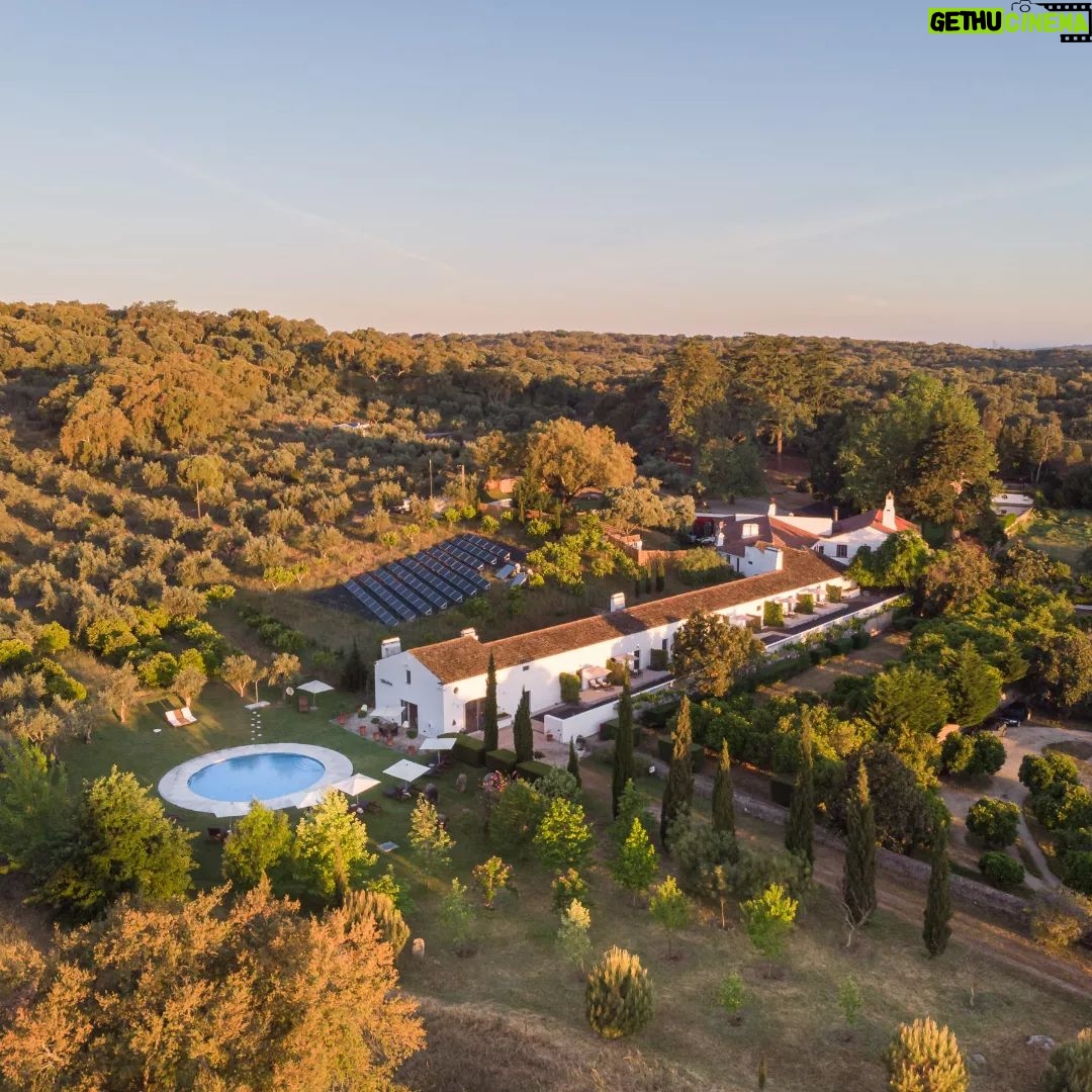 José Pedro Vasconcelos - 733 Likes - Parabéns! 12 anos de Imani Country House são já muitas páginas de uma história bonita, traçada por descobertas que nem em sonho, imaginávamos viver.
São tantos os amigos e clientes que desabafam por aqui “nós também gostávamos de ter um projecto como o vosso, foi fácil, aconselham?” E a resposta é sempre a mesma - dá muito trabalho, dá pouco dinheiro e é só para os mais resilientes. Para esses, desenha-se um futuro de puro privilégio, o da vida no campo, em todas as suas cores, cheiros e silêncios, o da construção de uma equipa que se torna família, o da descoberta de todos a quem o nosso olhar despertou interesse e que quiseram visitar-nos.
A Imani Country House é nossa, mas é principalmente dos que a sonharam connosco desde o primeiro dia e de todos os que nos dão a honra de partilhar este pedaço de terra.
Agradeço assim a cada um de vós e, hoje, se me permitem, agradeço em especial ao Zé, o meu parceiro, homem raro, de pensamento portentoso e força tremenda, sem o qual a Imani nunca teria sido… Obrigada pela nossa vida.
Mariana
.
Happy Anniversary! 12 years of Imani Country House are already many pages of a beautiful story, traced by discoveries that not even in a dream, we imagined living.
There are so many friends and clients who vent “We would also like to have a project like yours, was it easy, would you recommend it?” And the answer is always the same - it's a lot of work, a little money, and only for the most resilient. For these, we foresee a future of pure privilege, that of a life in the countryside, in all its colors, smells, and silences, that of building a team that becomes a family, that of discovering everyone whom our eyes have awakened interest and who wanted to visit us.
Imani Country House is ours, but it belongs mainly to those who dreamed of it with us from day one and to all those who do us the honor of sharing this piece of land.
So I thank each one of you and, today, if I may, I especially thank Zé, my partner, a rare man, with portentous thinking and tremendous strength, without whom Imani would never have been… Thank you for our life.
Mariana
.
.
📷 @goncalo.miller