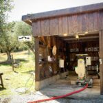 José Pedro Vasconcelos Instagram - A influenciar bué imani - country house