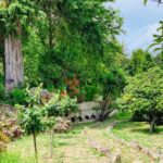 José Pedro Vasconcelos Instagram - Dia para o nosso jardim, @imanicountryhouse imani - country house