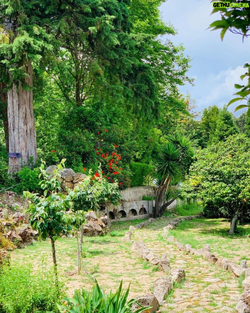 José Pedro Vasconcelos Instagram - Dia para o nosso jardim, @imanicountryhouse imani - country house