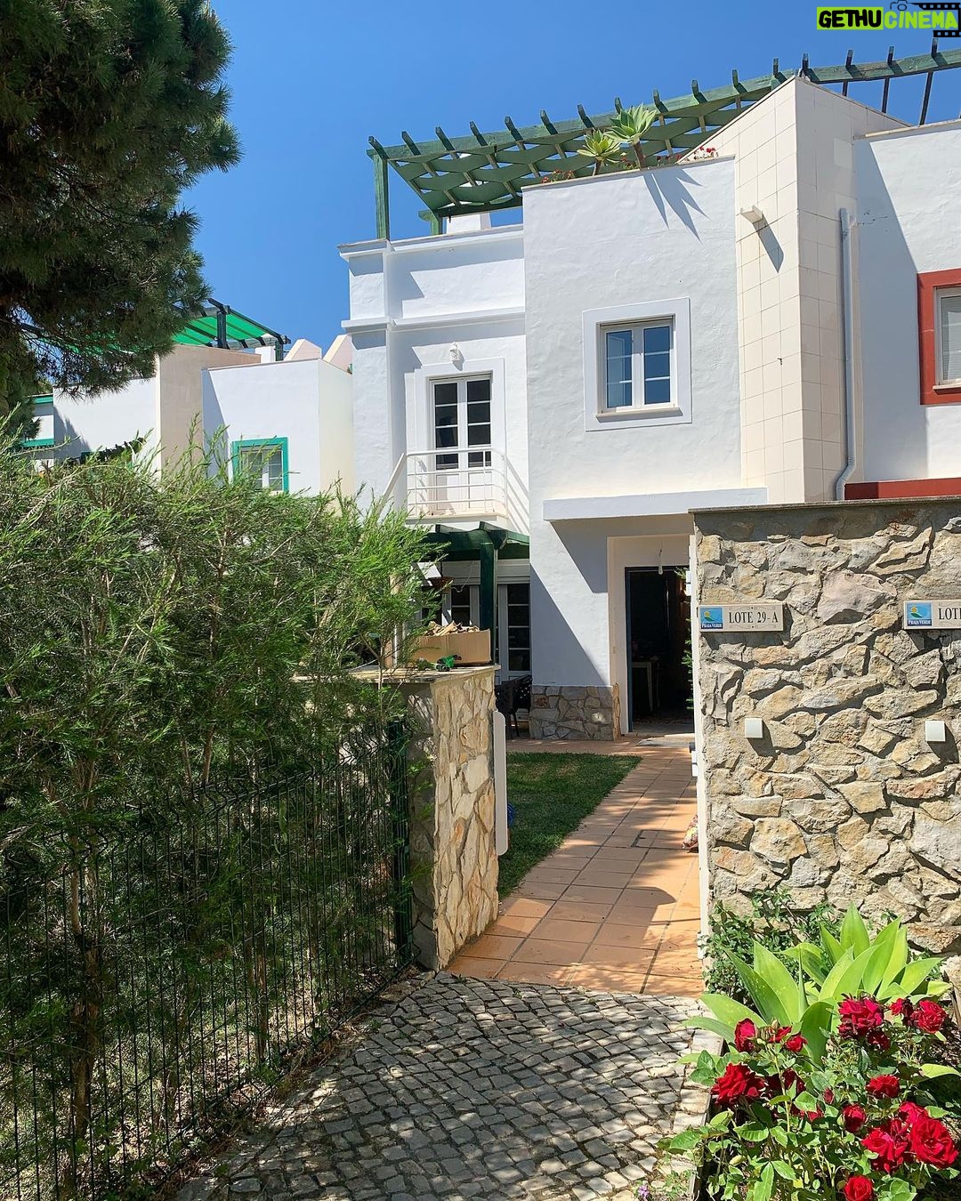 José Pedro Vasconcelos - 1K Likes - A imani cresceu rumámos a sul e já chegámos ao Algarve. A @imanibeachvilla abre em Julho. Villa com capacidade para 6 adultos e 2 crianças em quatro quartos, jardins, duas açoteias com vista pinhal e mar a 800 metros do areal 😉