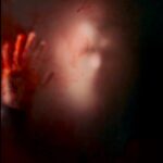 Joseph Morgan Instagram - Watch the VAMPIRE music video now. Link in bio! This new single by @misspersiawhite is haunting and beautiful. It’s the first release from her album SHADES OF BLACK, out June 30th. Let us know what you think. @mristof @compact_crew