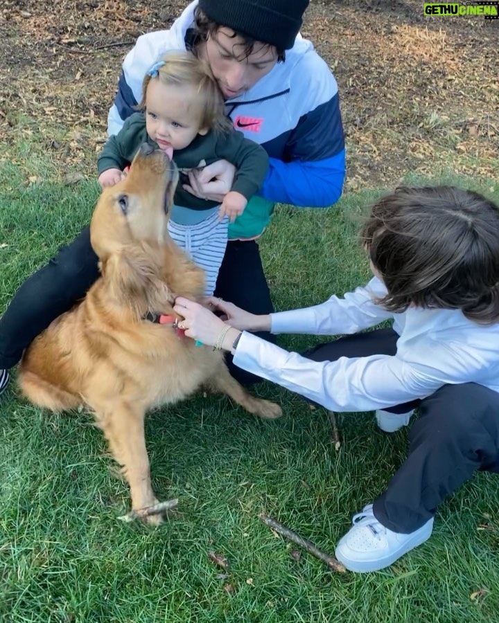 Josh Dun Instagram - i remember my first birthday... swipe for a special birthday kiss at the end Rosie's Dog Beach