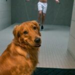 Josh Dun Instagram - a pre-show warm up with jim