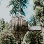 Josh Dun Instagram - I found a tree house in the woods in New Zealand and proposed to my girl. She my dude for life. I love you Debby