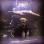 Josh Dun Instagram - my mom told @sharkdivextreme that if I got hurt swimming with sharks I couldn't come back to Australia again. they did a real nice job and I will come back. Shark Dive Xtreme