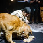 Josh Dun Instagram - he had his cake and also ate it. i never had a dog as a kid, so i was never really a “dog person”. didn’t understand what that was all about, but 5 years ago, jim was born and changed my life. i’ve bonded with him more than i ever knew i could bond with an animal. it’s awesome. happy birthday little dude. thanks for the vocals tyler 📸 @ashleyosborn 🎥 @reelbearmedia Jims House