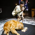 Josh Dun Instagram - he had his cake and also ate it. i never had a dog as a kid, so i was never really a “dog person”. didn’t understand what that was all about, but 5 years ago, jim was born and changed my life. i’ve bonded with him more than i ever knew i could bond with an animal. it’s awesome. happy birthday little dude. thanks for the vocals tyler 📸 @ashleyosborn 🎥 @reelbearmedia Jims House