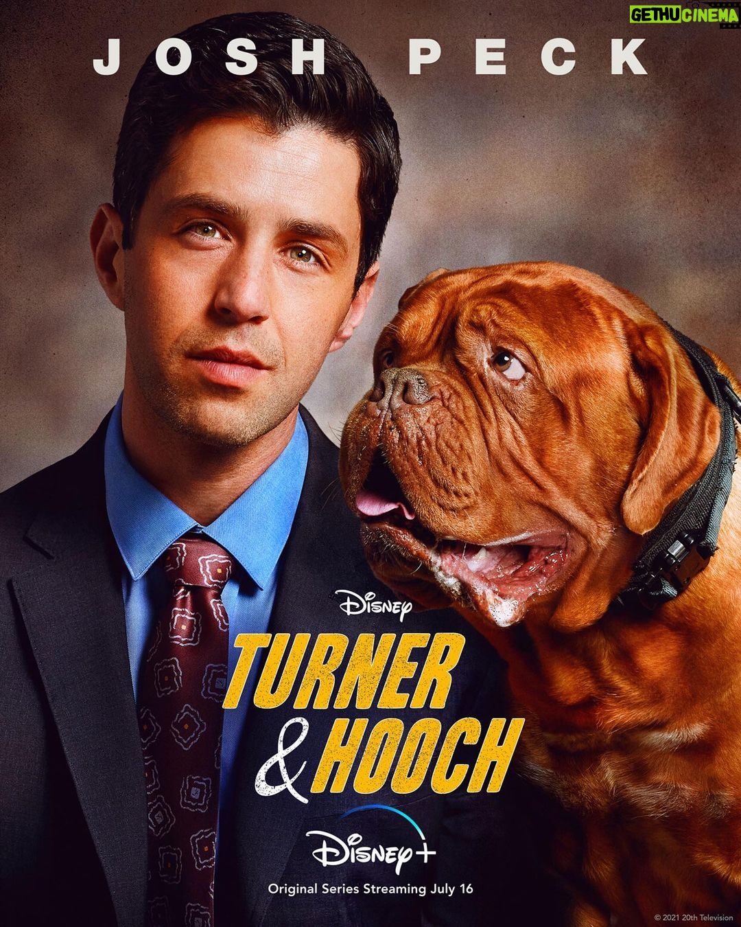 Josh Peck - 373.9K Likes - Who let this happen?!
Different decades, same Hooch energy.
#turnerandhoochseries premieres July 21st on @disneyplus #disneyplus
