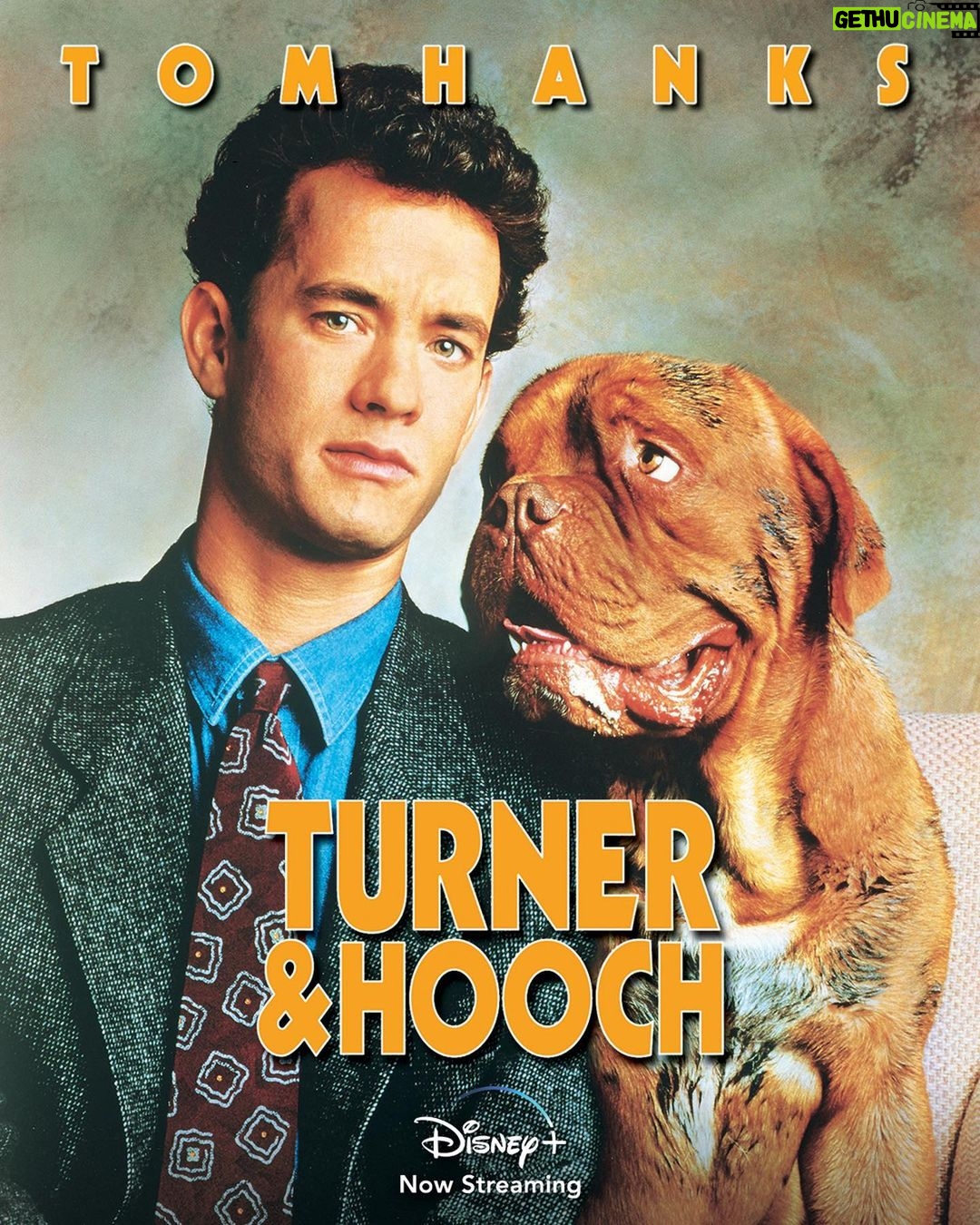 Josh Peck - 373.9K Likes - Who let this happen?!
Different decades, same Hooch energy.
#turnerandhoochseries premieres July 21st on @disneyplus #disneyplus