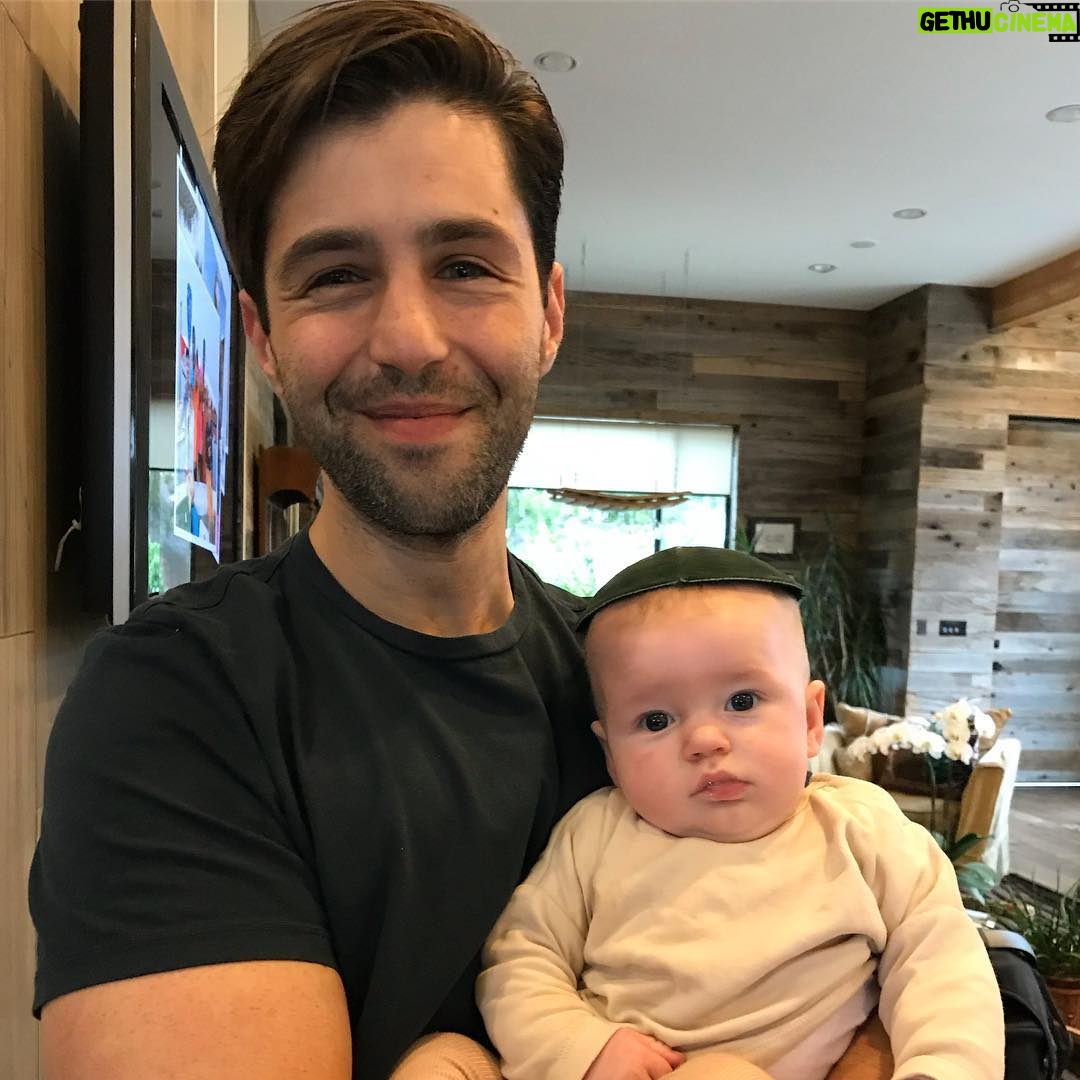 Josh Peck - 438.5K Likes - Happy Passover #chagsameach