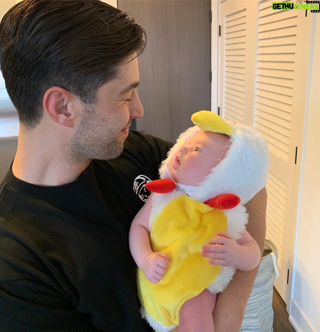 Josh Peck - 388.1K Likes - Purim Party 🐓🐓
