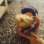Josie Bissett Instagram - Reunited & it feels so goooood! #pookie #love #reunited #Bella&Pookie @maya_rosie @rpeacock60