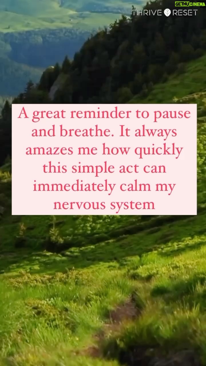 Josie Bissett Instagram - INHALE + EXHALE. A great reminder to PAUSE + BREATHE. Tip: It helps me stay in the present moment by synchronizing my inhale with the affirmation “I breathe in” and my exhale with “I breathe out”.