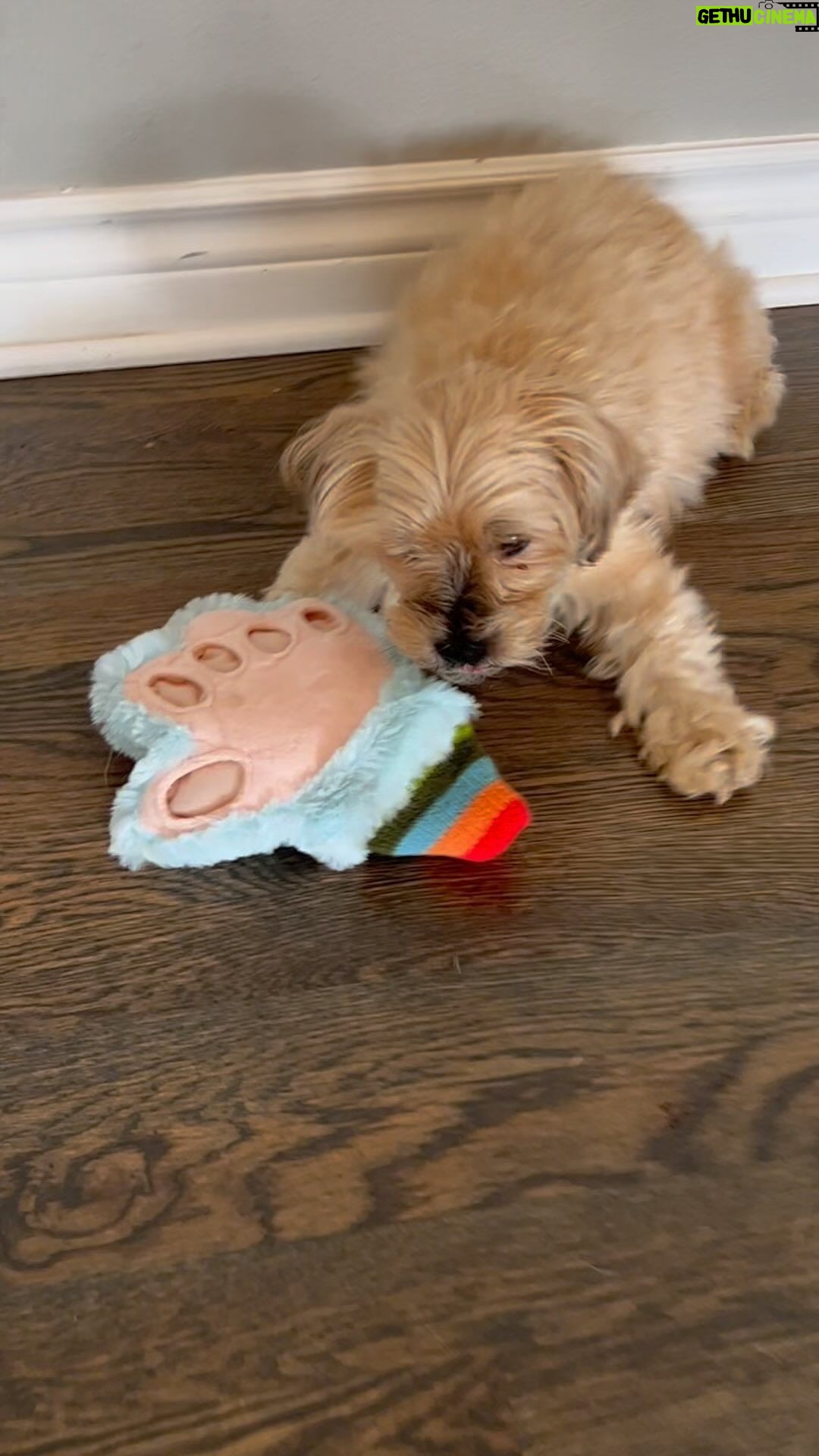 Josie Bissett Instagram - @ticklemonsterbook ❤️