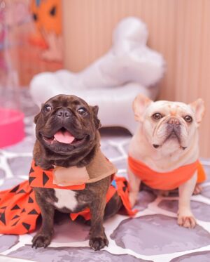 Jottapê Instagram - Yabba Dabba Doo! 🧡 #2MêsDaAthena 🫶🏼