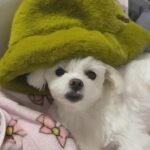 Joy Instagram - 아쉬우니까 2023 만들어봄🥰 새해 복 많이 받으세요💚