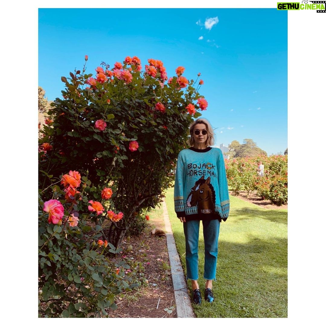 Julia Chan Instagram - 🗣 @bojackhorseman season VI 🐴🌹