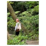 Julia Chan Instagram - missing Japan. 🌸🍃yes, @instadanjlevy, you took this. 根津美術館