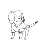Julia Pott Instagram – New Substack on the greatest novel of all time and sequel to 101 Dalmatians – The Starlight Barking, and why no one wants to make it into a movie.

Go to juliapott.substack.com to read and subscribe.