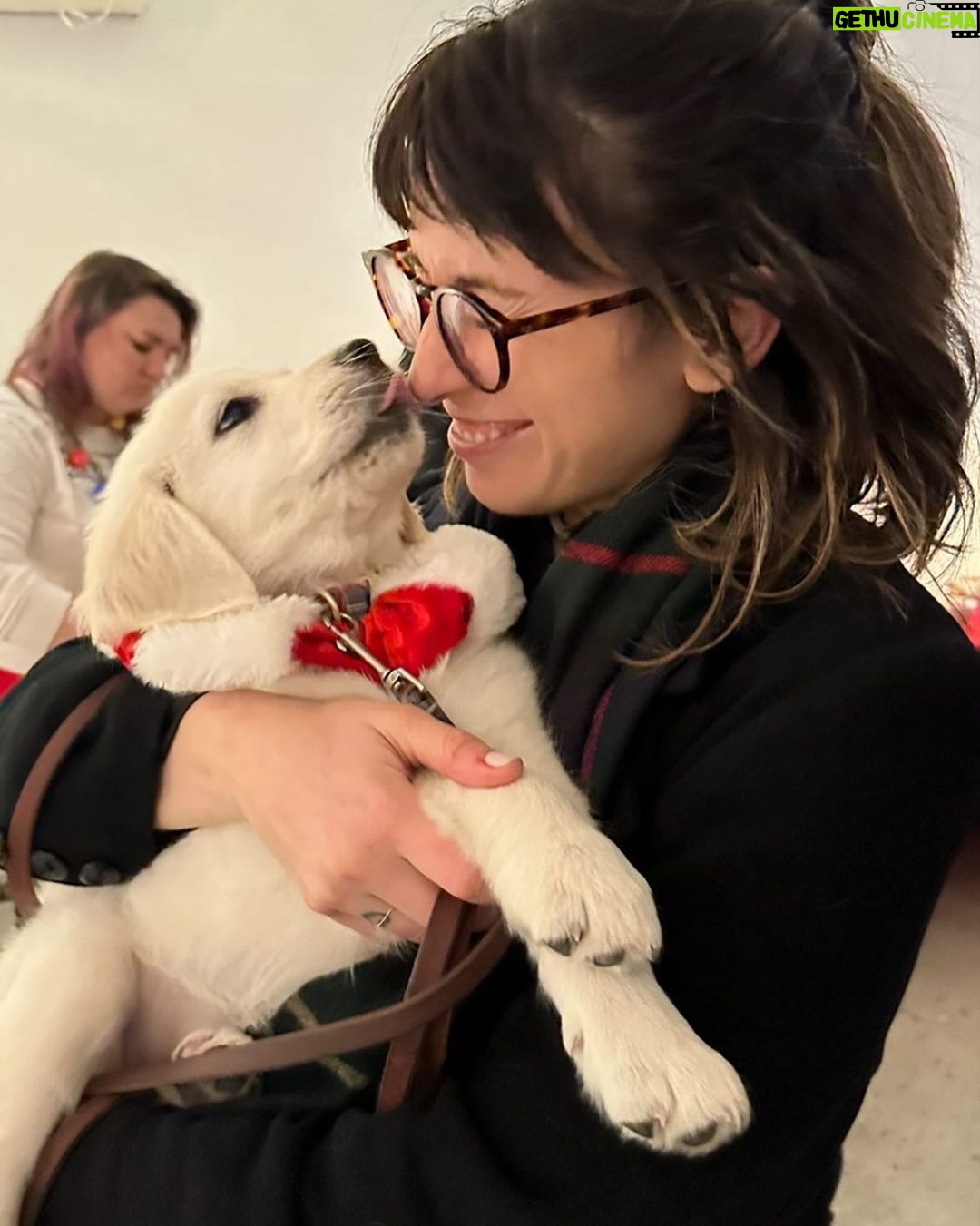 Julia Pott Instagram - This is not my dog but it is my friend