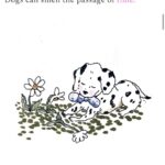 Julia Pott Instagram - My newsletter today is about the emotional lives of animals. From now until the end of December you can get 20% your yearly subscription at this link : https://juliapott.substack.com/51819326 (and in my bio)