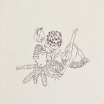 Julia Pott Instagram - For @mel_stilllife many moons ago